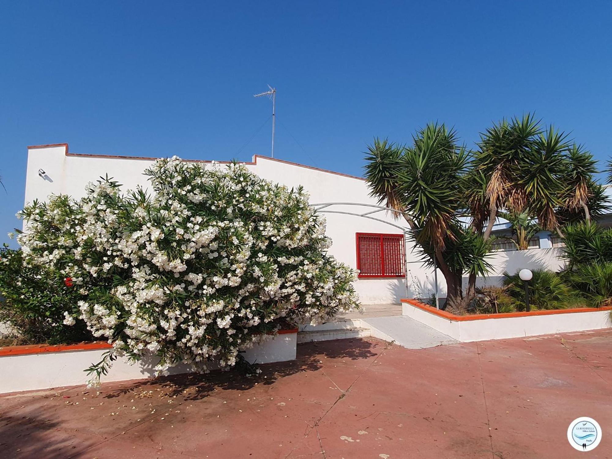Villa La Rondinella - Torre San Giovanni Esterno foto